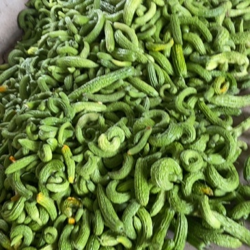 挑剩下次果，下季苦瓜