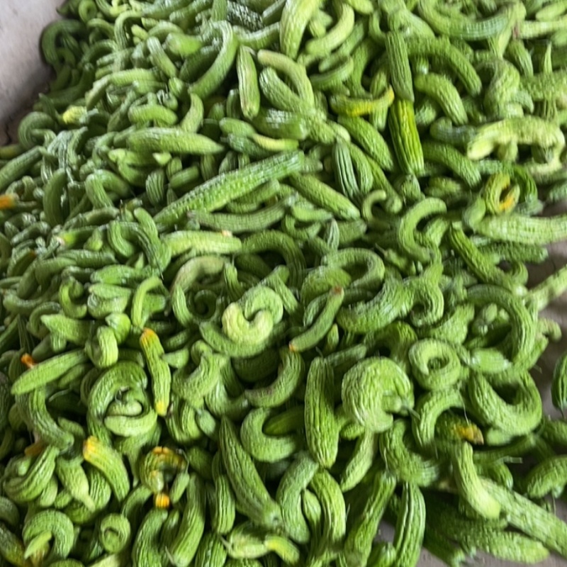挑剩下次果，下季苦瓜
