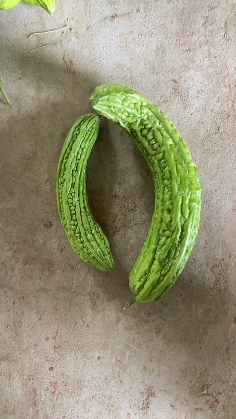 挑剩下次果，下季苦瓜