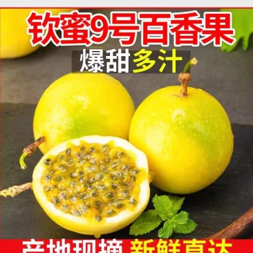 广西精品百香果钦蜜9号全国各地供应，支持一件代发