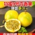 广西精品百香果钦蜜9号全国各地供应，支持一件代发
