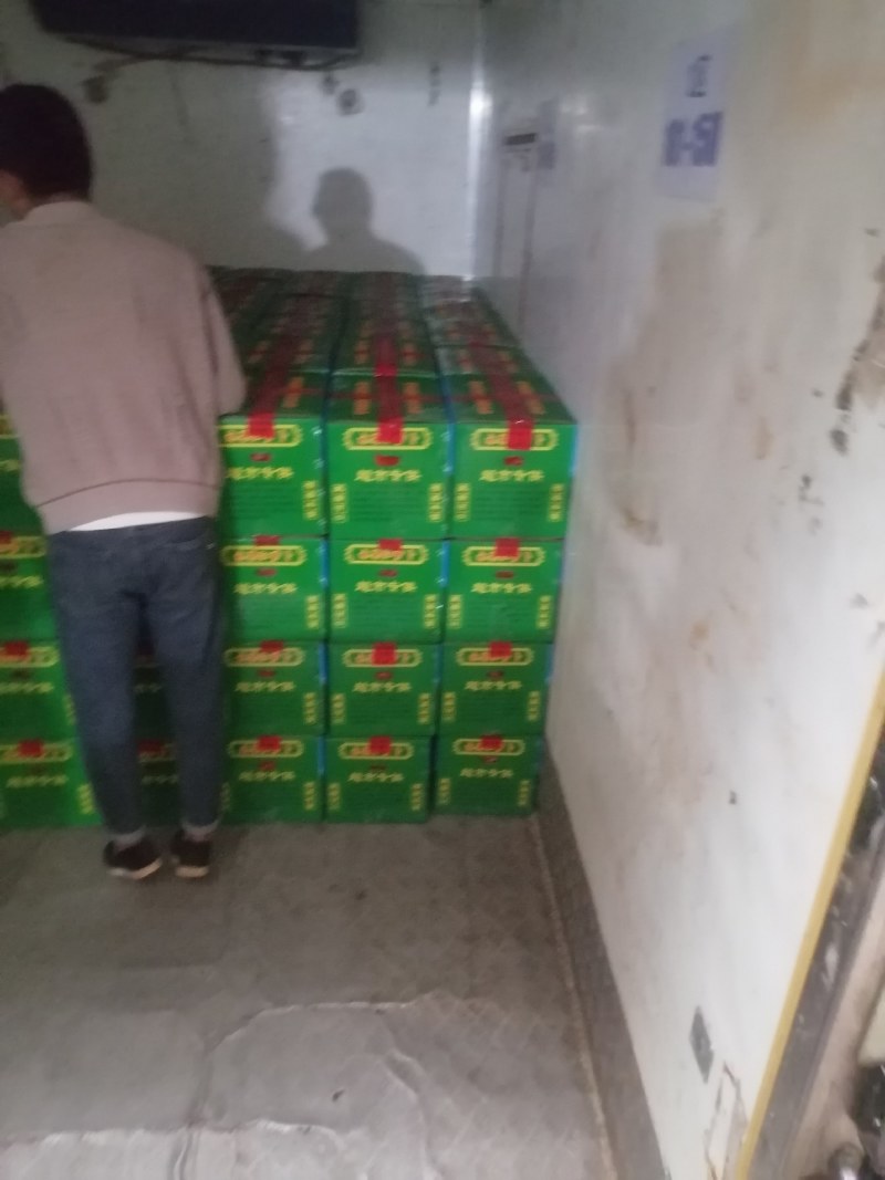 精品红皮萝卜