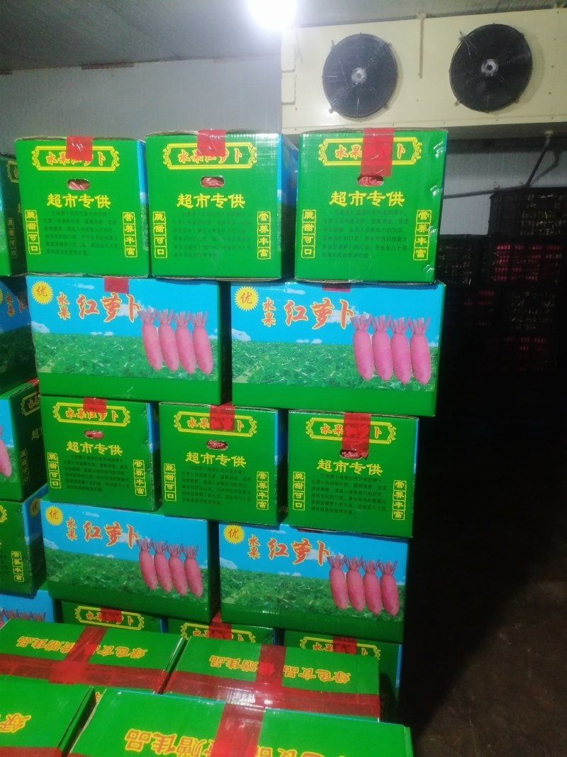 精品红皮萝卜