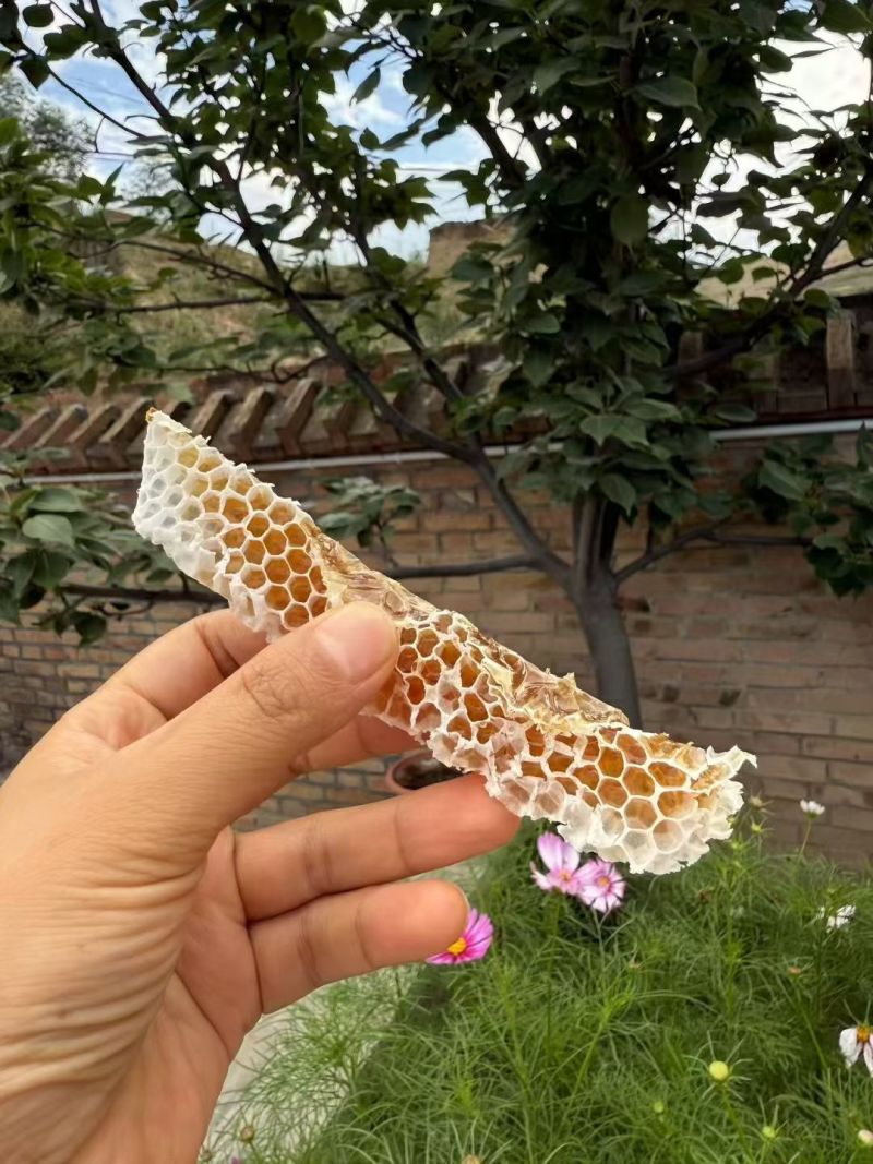 土蜂蜜