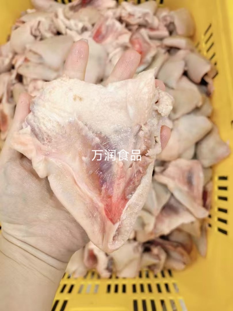 纯干下嘴尖20斤，下巴尖，猪下嘴