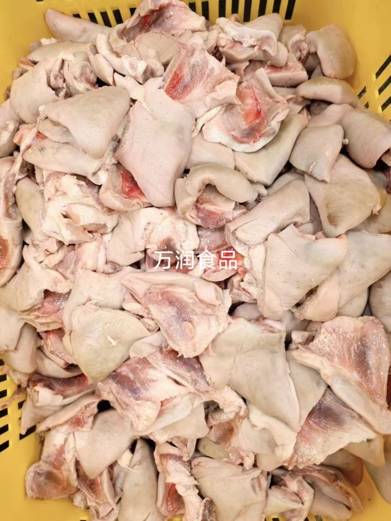 纯干下嘴尖20斤，下巴尖，猪下嘴