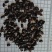 九香虫新货到了！干度颜色好！关书药材批发中药