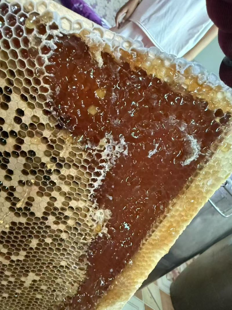 自家土蜂蜜，***，***，诚信做人