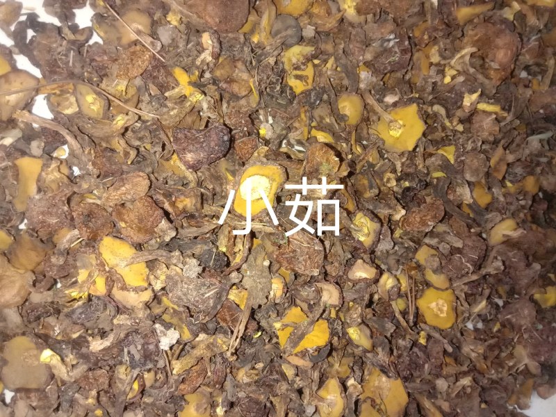 东北松蘑干货