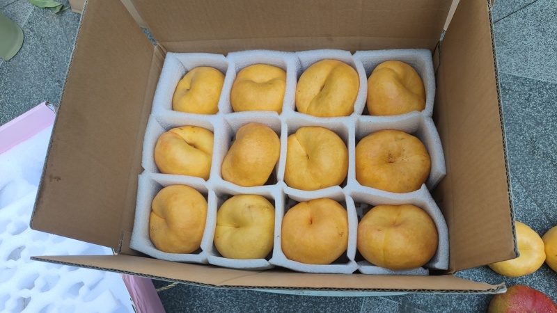 中油蟠味帝