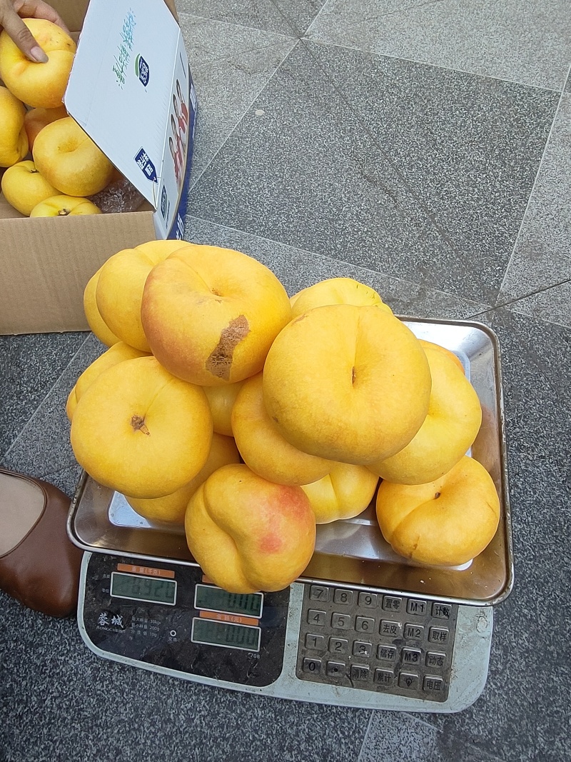 中油蟠味帝