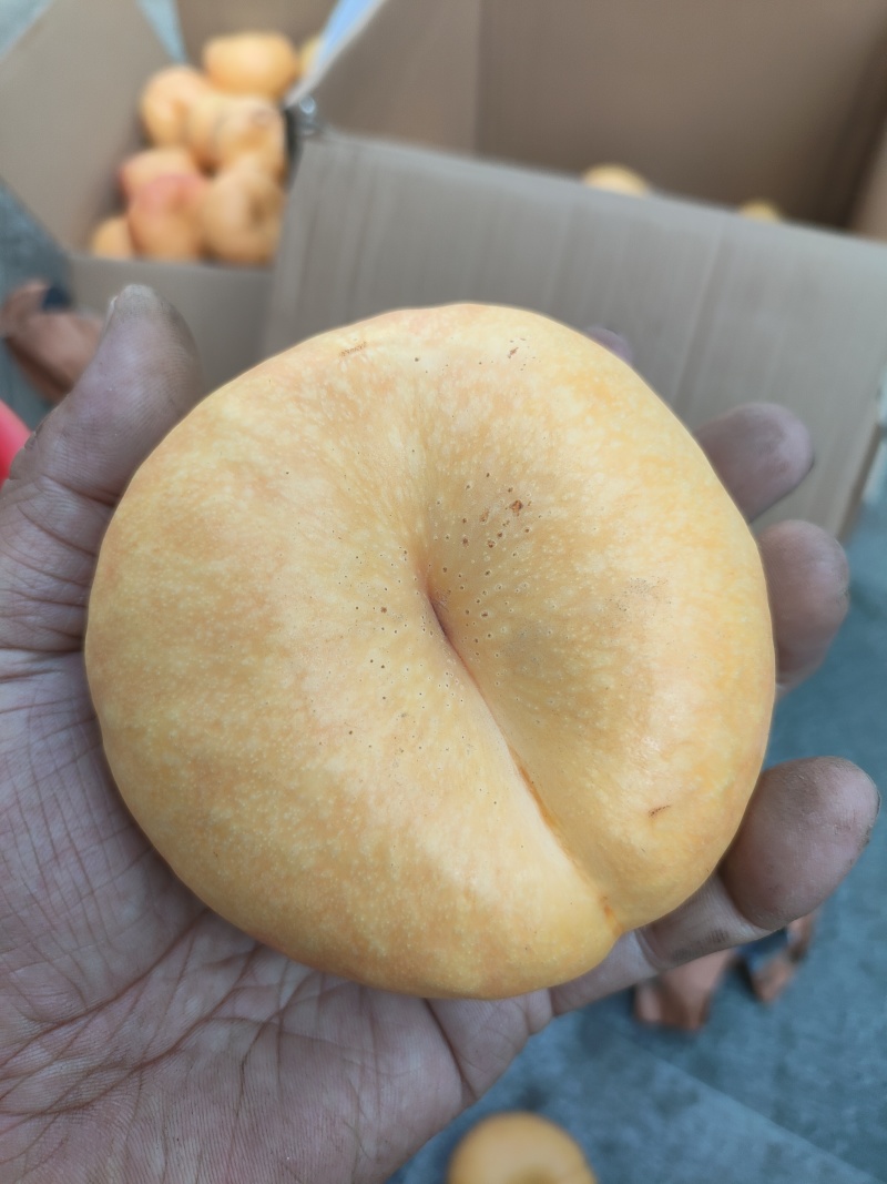 中油蟠味帝