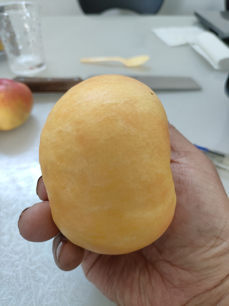 中油蟠味帝