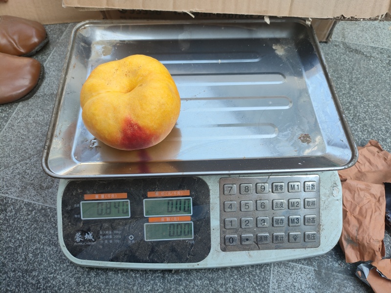 中油蟠味帝