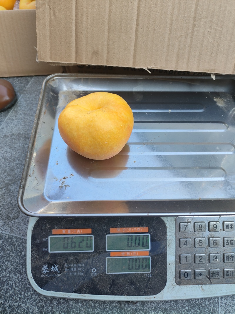 中油蟠味帝