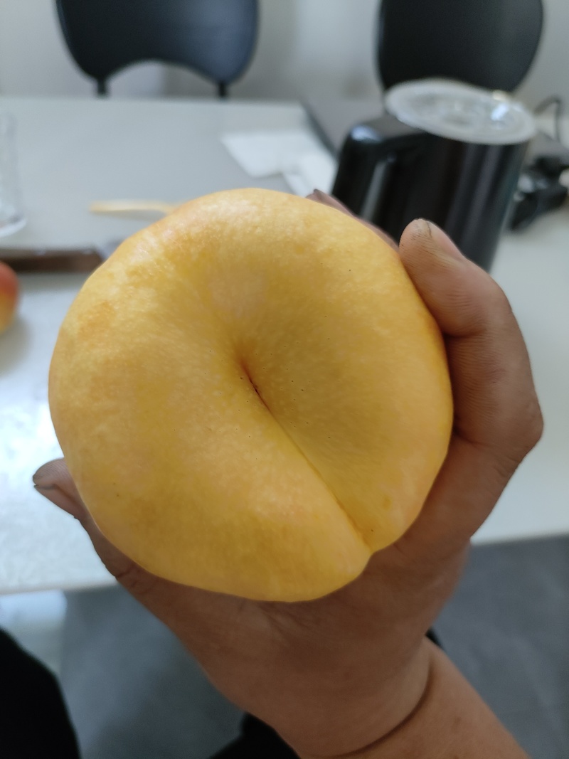 中油蟠味帝