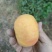 中油蟠味帝