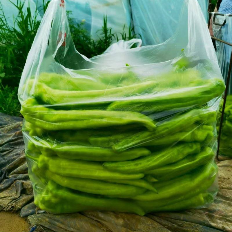 精品尖椒