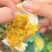 钦密9号黄金百香果