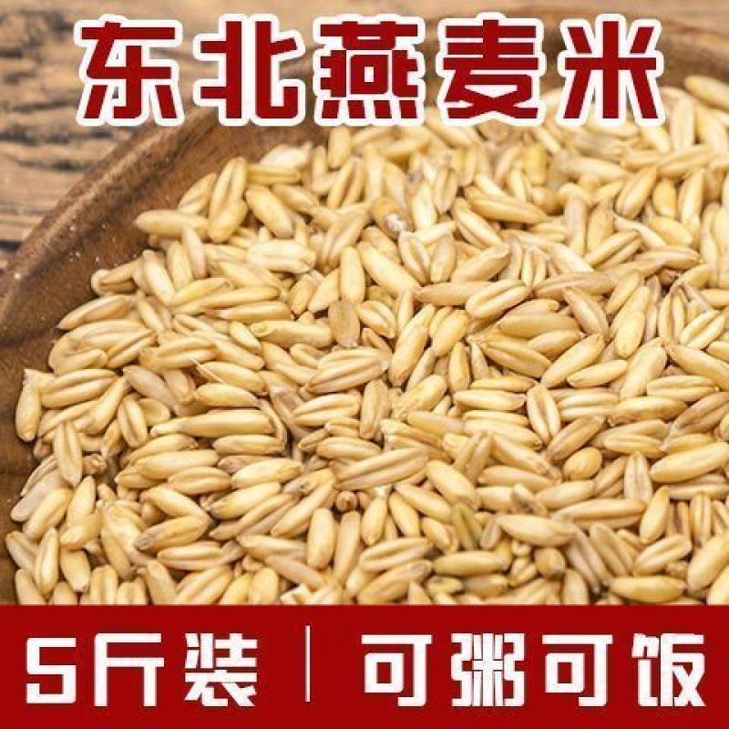 下厨房5斤东北燕麦米燕麦仁全胚芽米雀麦10斤新米批发1斤