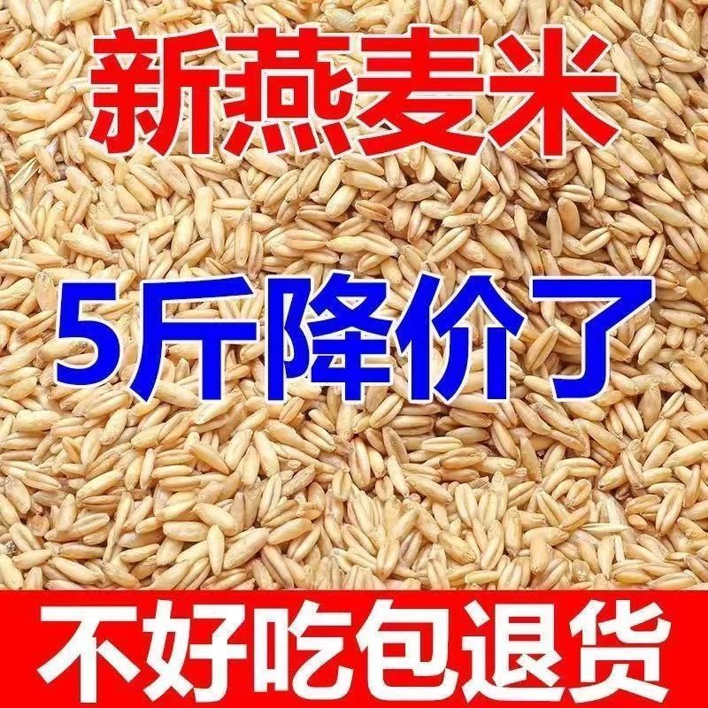 下厨房5斤东北燕麦米燕麦仁全胚芽米雀麦10斤新米批发1斤