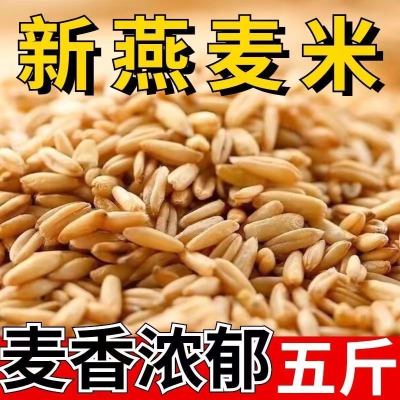 下厨房5斤东北燕麦米燕麦仁全胚芽米雀麦10斤新米批发1斤