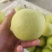 精品皇冠梨