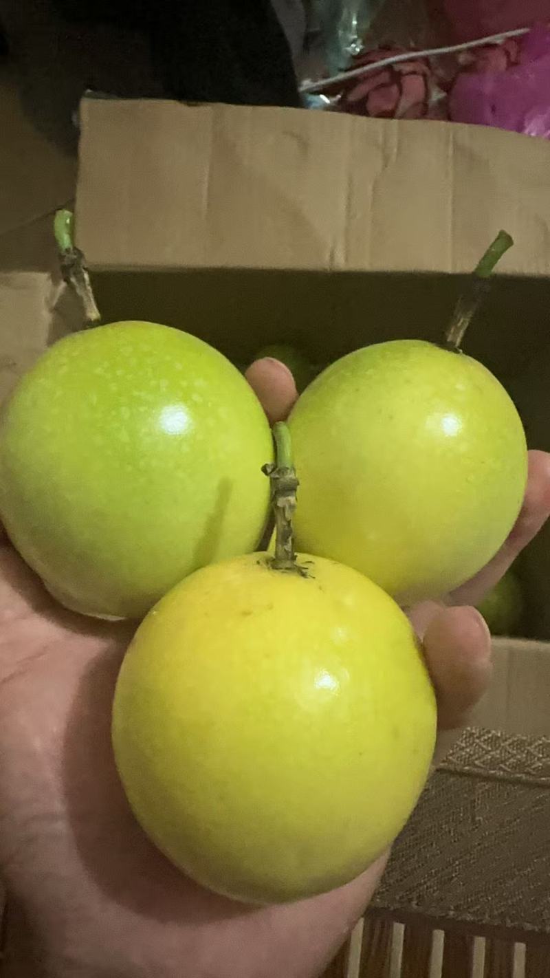 钦蜜9号黄金百香果