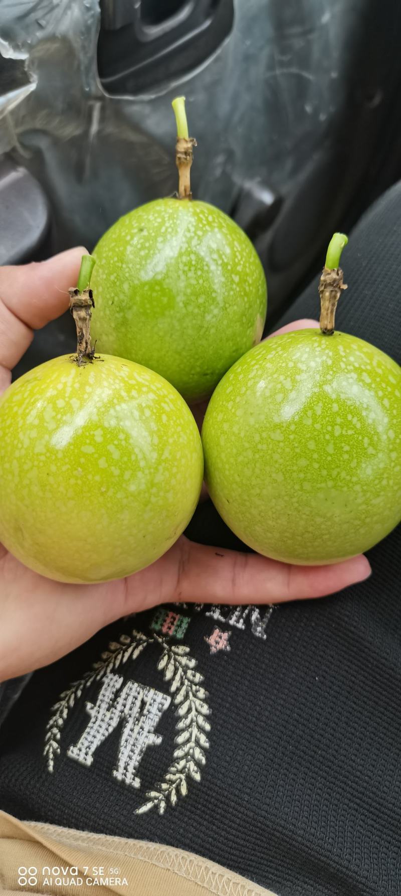 钦蜜9号黄金百香果