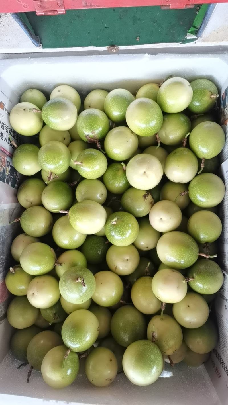 钦蜜9号黄金百香果