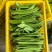 新鲜刀豆，整批发货