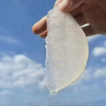 正宗连州水晶梨