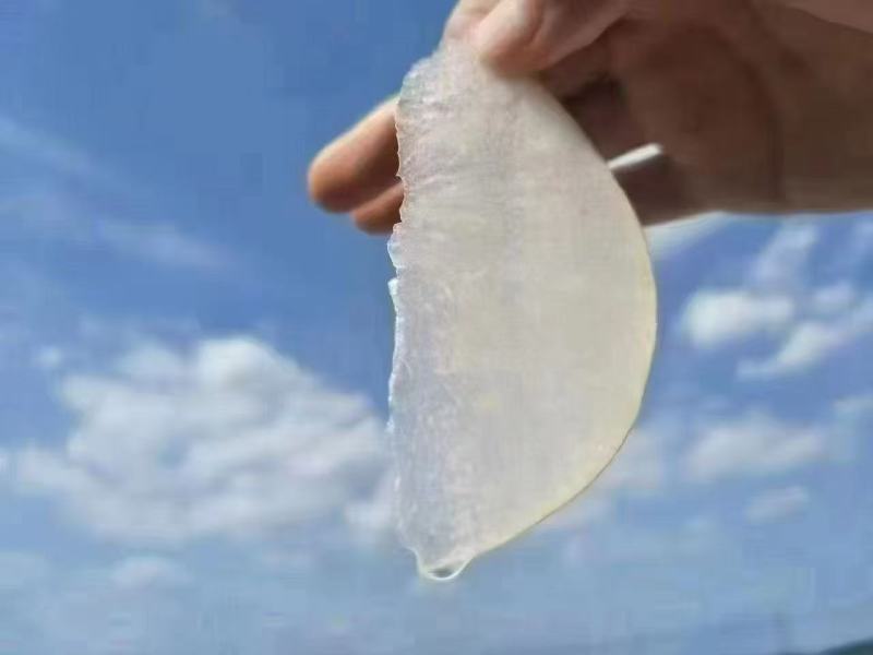 正宗连州水晶梨