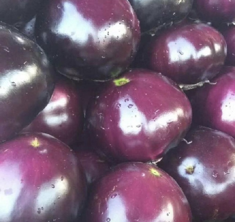 紫光圆茄茄子量大质优价格优惠一手货源欢迎咨询采购