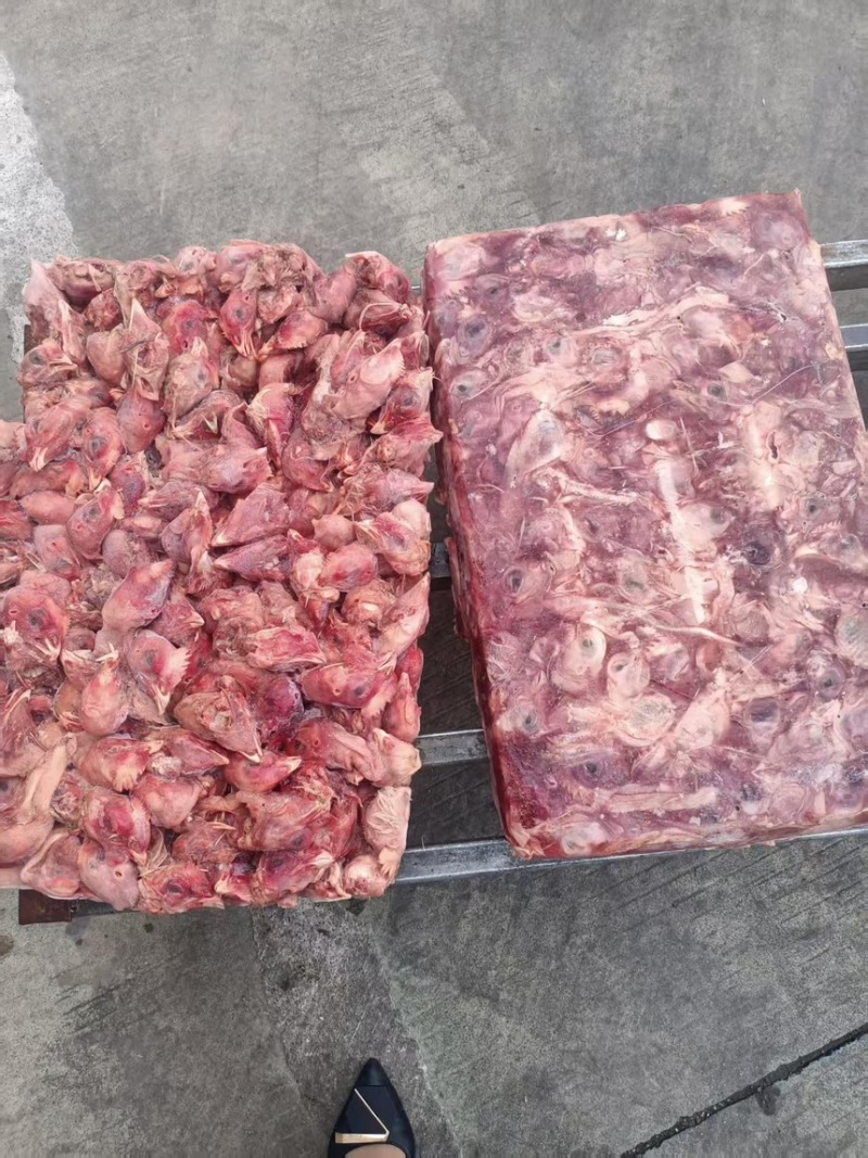 肉鸡鸡头