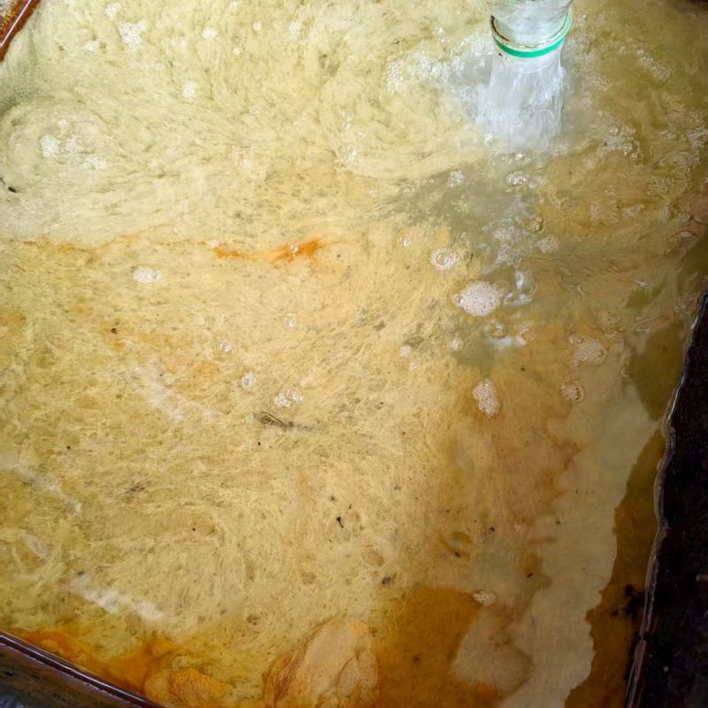 湖南胡椒油新鲜上市清香可口量大从优欢迎采购热卖中