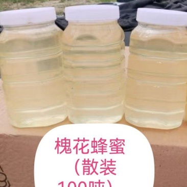 槐花蜂蜜高浓度41.5度抗生素农残留合格散装75公斤桶