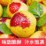 《大荔冬枣》陕西冬枣/整车代发/保质保量/供应电商市场