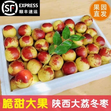 《大荔冬枣》陕西冬枣/整车代发/保质保量/供应电商市场