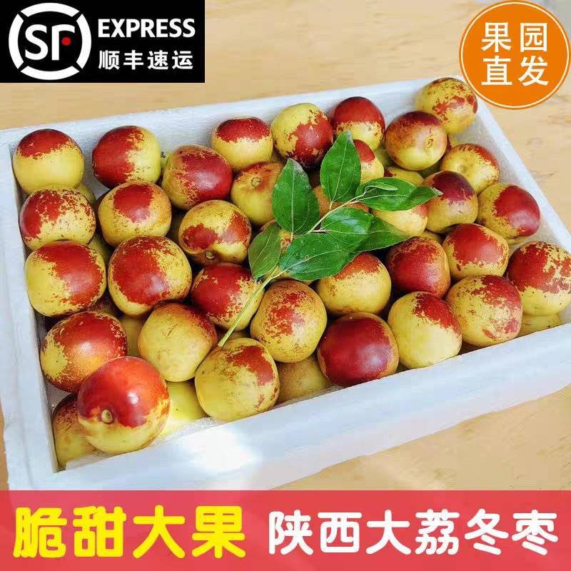 《大荔冬枣》陕西冬枣/整车代发/保质保量/供应电商市场