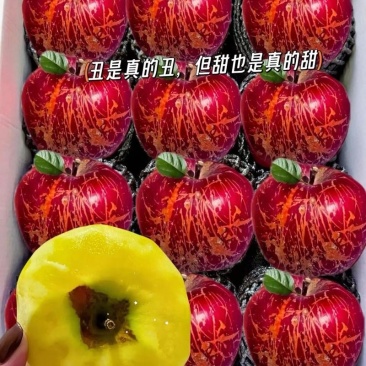 （一件代发）电商对接抖音助农拼多多视频号各种平台主播