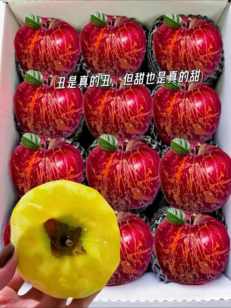（一件代发）电商对接抖音助农拼多多视频号各种平台主播