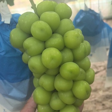 陕西省渭南市