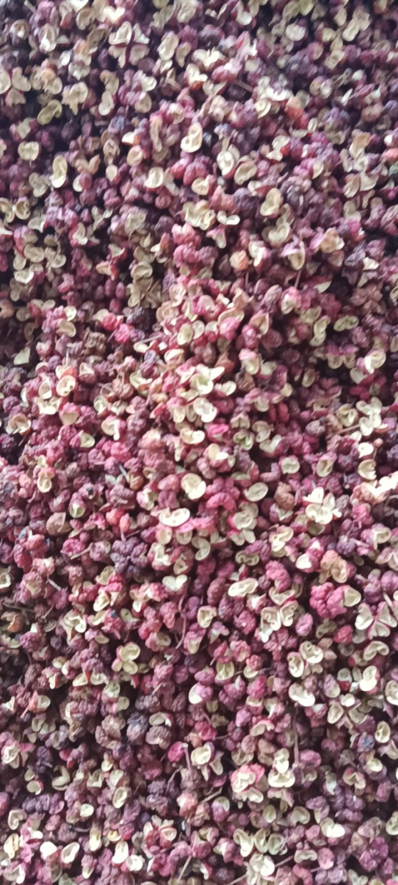 【热卖中】AAA级茂汶红花椒一手货源稳定