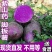 紫山药批发