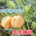 生鹰嘴豆新疆鹰嘴豆***新疆直发新疆正宗鹰嘴豆生豆干豆推荐
