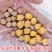 生鹰嘴豆新疆鹰嘴豆***新疆直发新疆正宗鹰嘴豆生豆干豆推荐