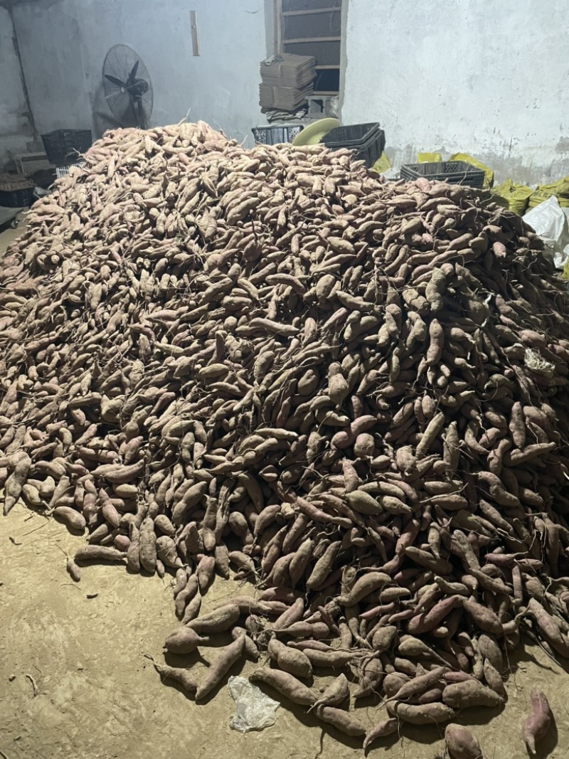 精品小香薯30-200克单果