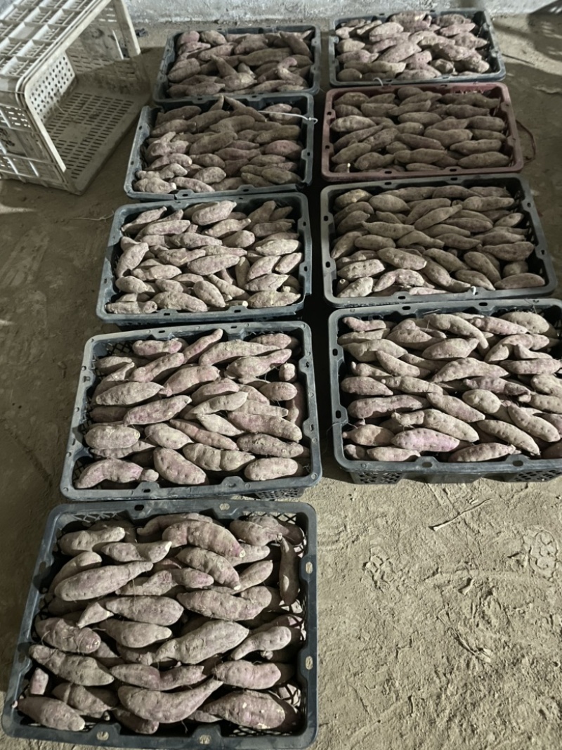 精品小香薯30-200克单果