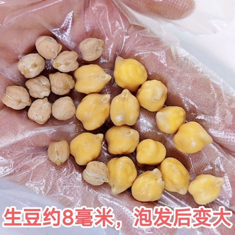 生鹰嘴豆新疆鹰嘴豆***新疆直发新疆正宗鹰嘴豆生豆干豆推荐